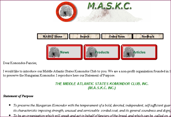 Snapshot of our club's first website