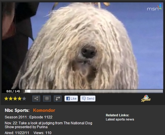 National Dog Show 2011: Komondor