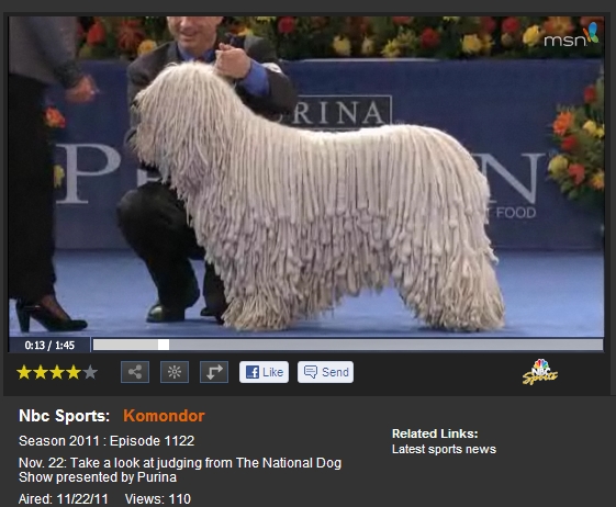 National Dog Show 2011: Komondor