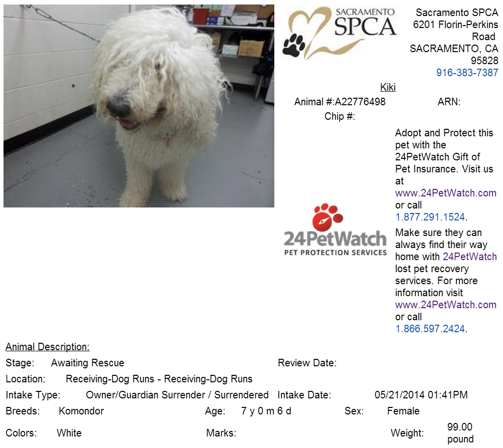 Rescue Info